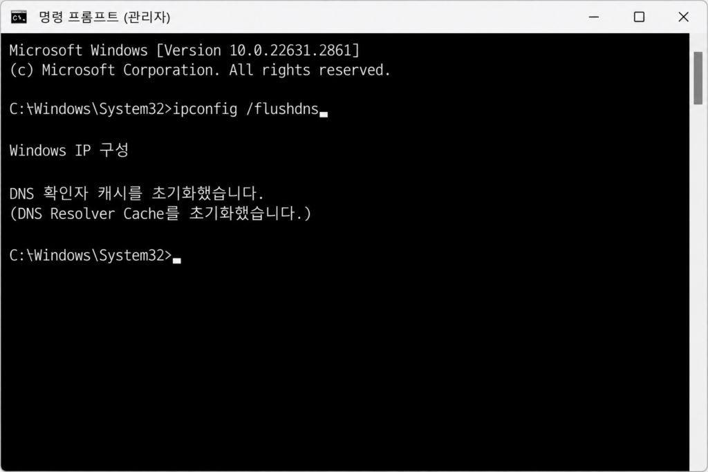 명령 프롬프트에서 ipconfig /flushdns 실행 후 성공 메시지가 표시된 화면